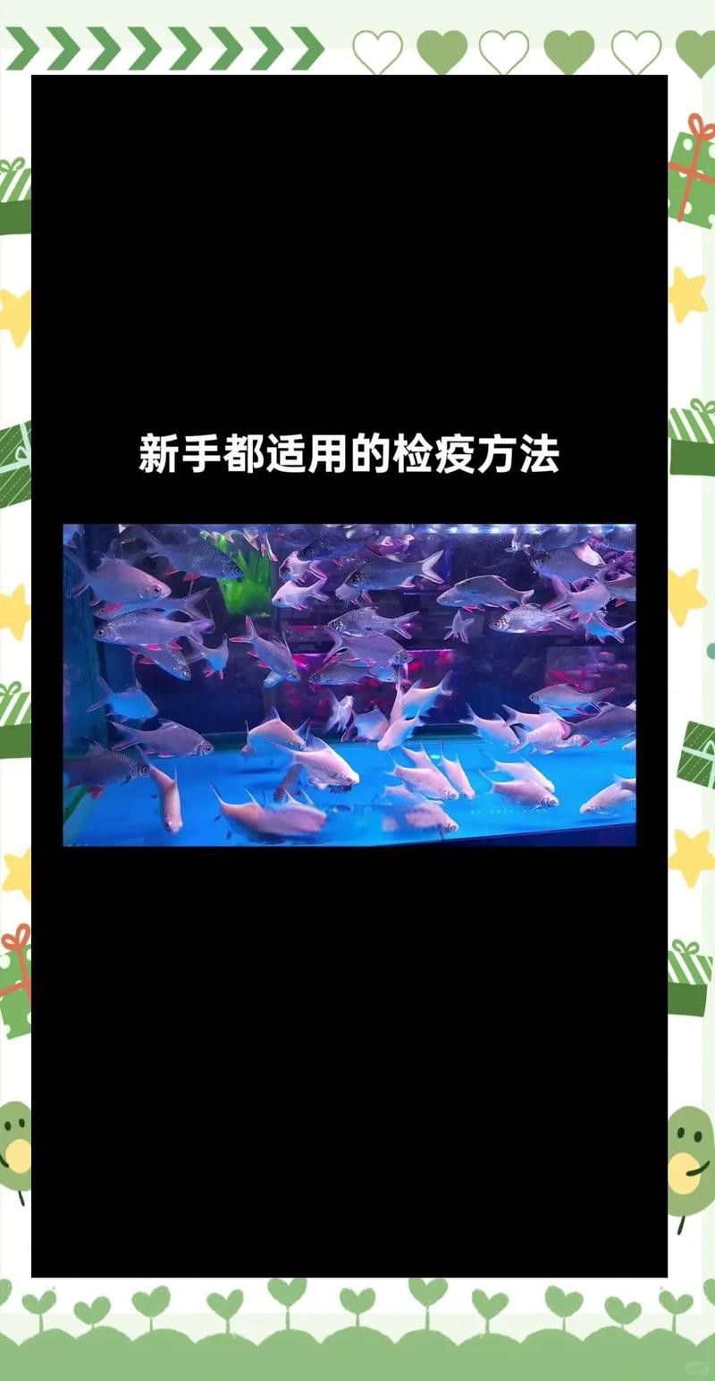 消蟲皇Anti Skin AquaFresh如何使用？