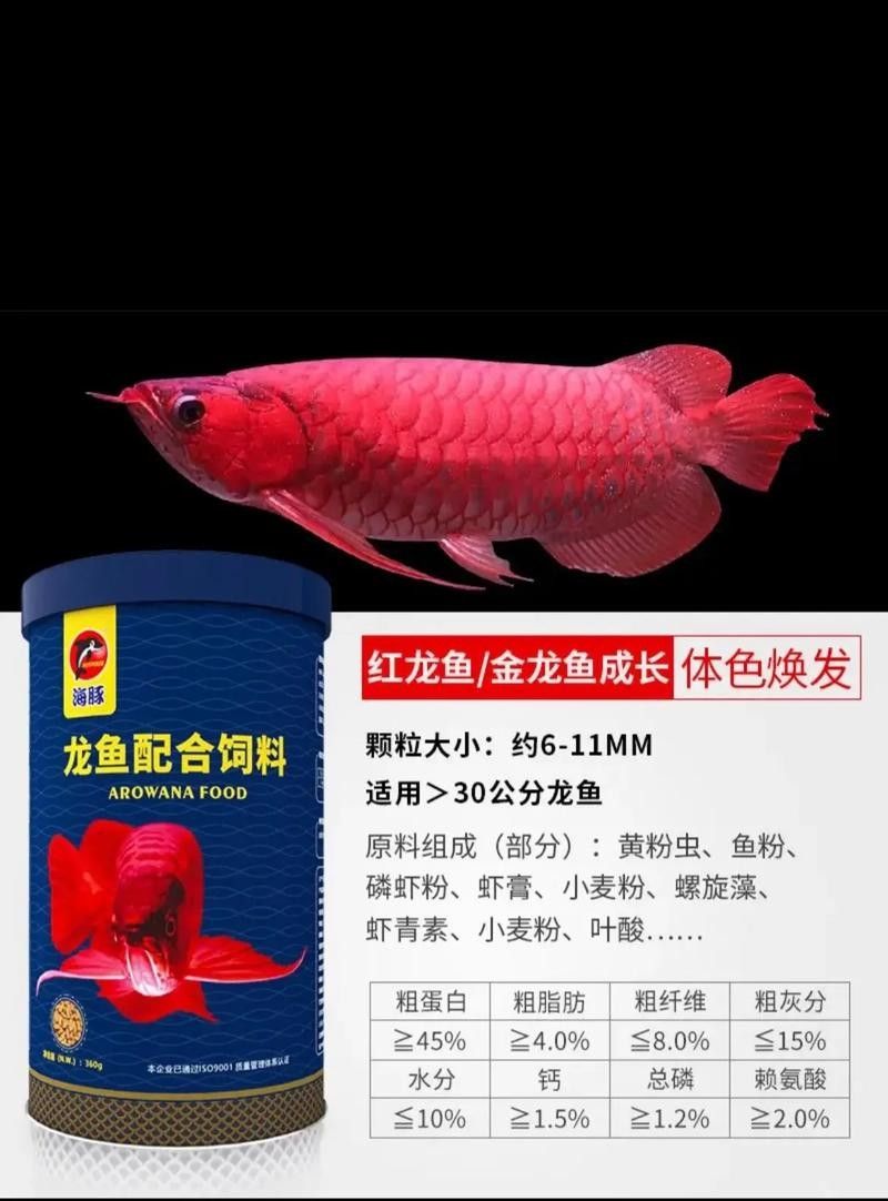 龍魚魚糧什么牌子好吃又便宜