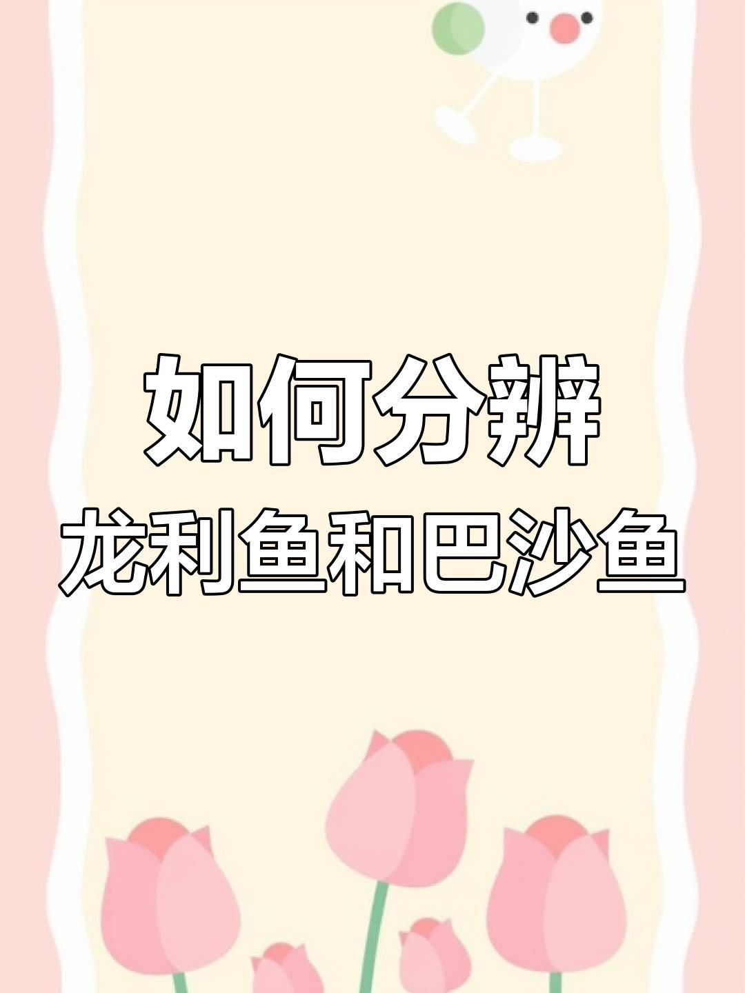 龍利魚(yú)和巴沙魚(yú)有區(qū)別嗎
