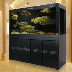 龍魚魚缸換水的正確方法：龍魚魚缸換水技術