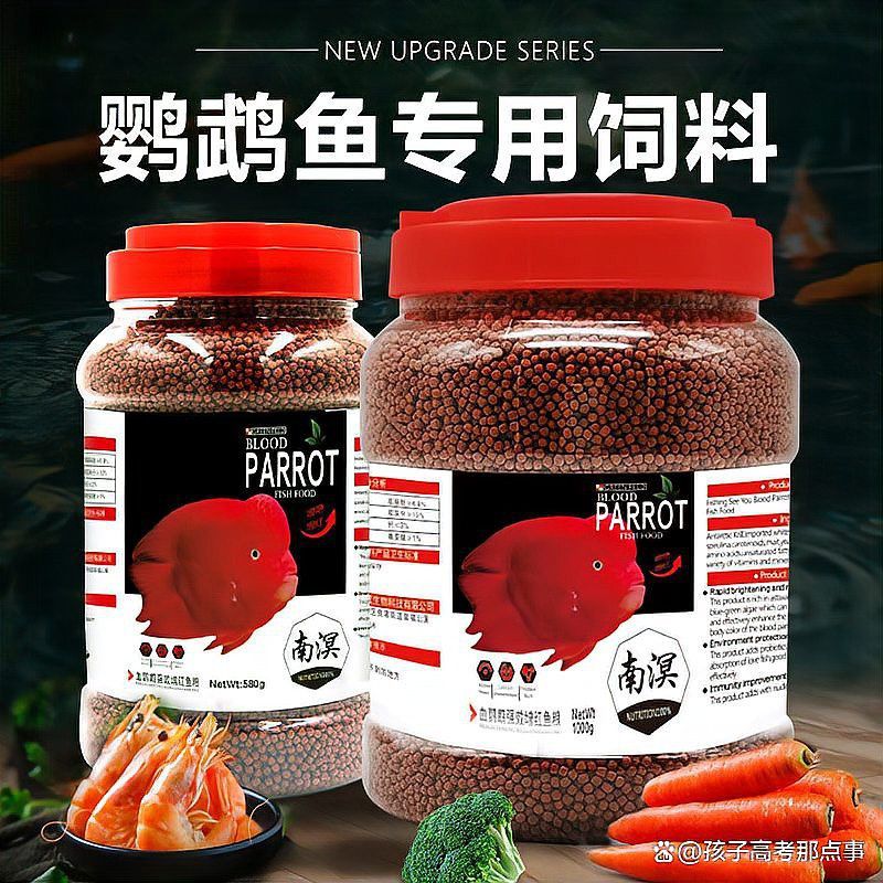 血紅龍魚發色期間需要喂什么飼料？