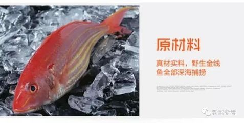 小龍魚怎么制作魚食：小龍魚怎么做魚食