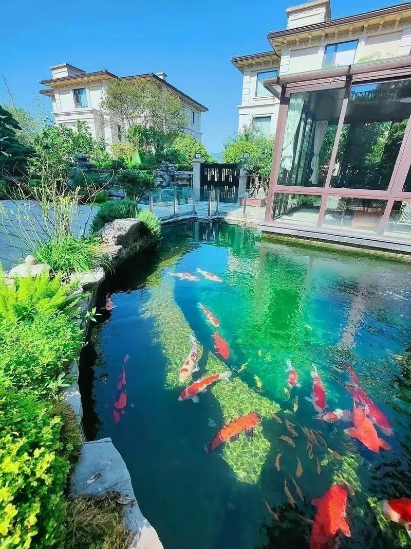 龍魚缸造景圖片高清圖