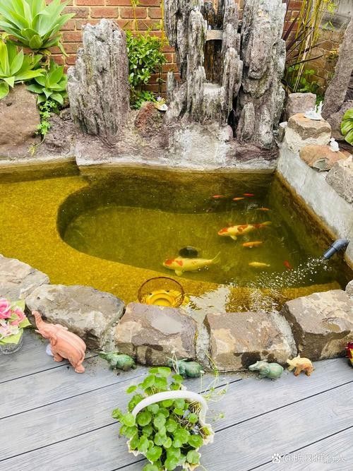 龍魚缸造景圖片高清圖