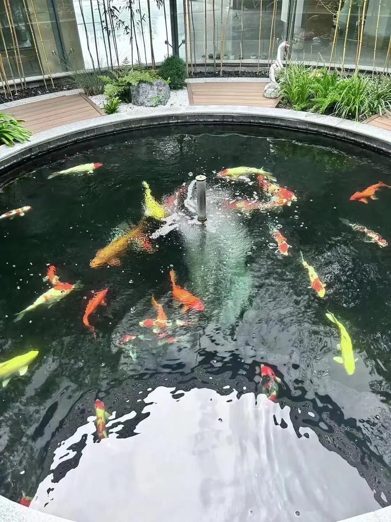龍魚缸造景圖片高清圖