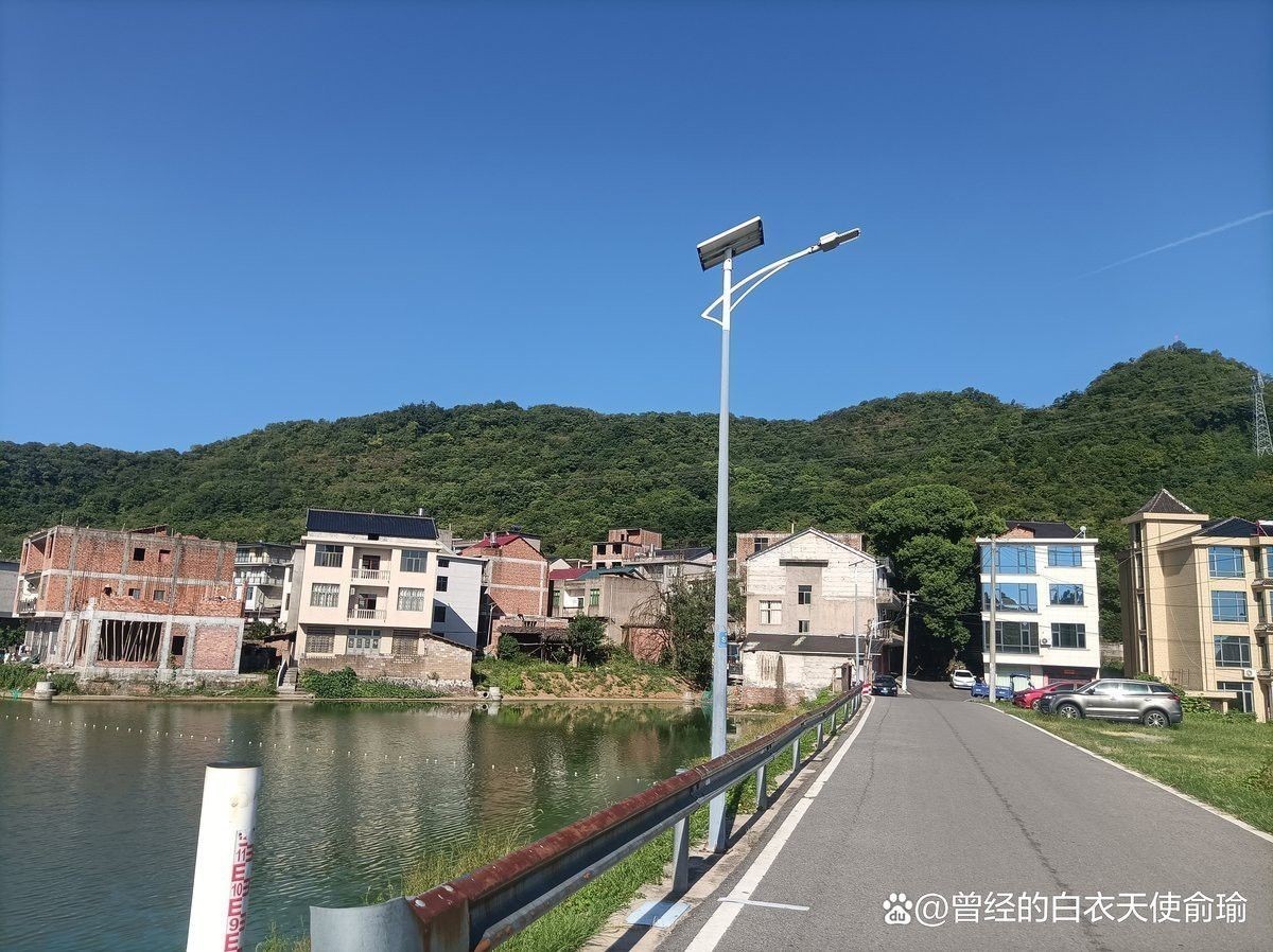 這些龍形地案例中哪個最著名？
