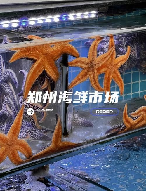 鄭州哪個(gè)市場(chǎng)賣龍魚(yú)好吃