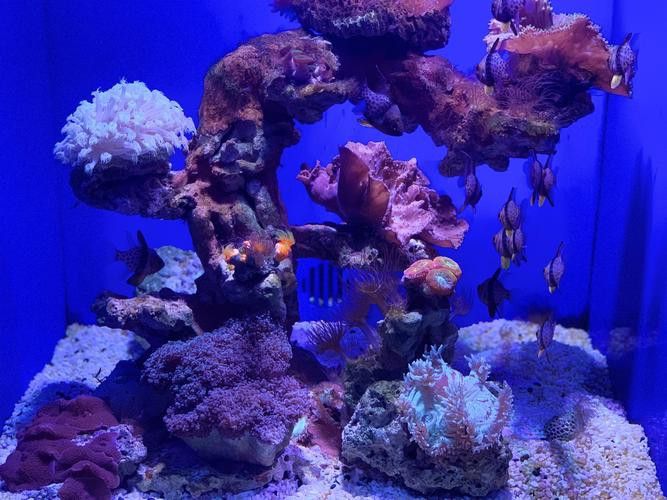 衡水龍魚水族館在哪個位置呀