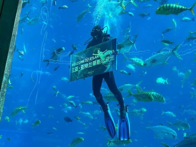 衡水龍魚水族館在哪個位置呀