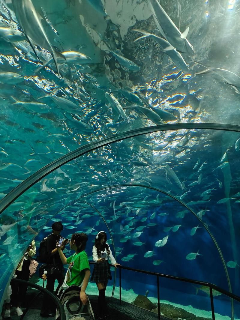衡水龍魚水族館在哪個位置呀