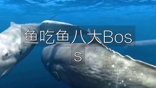 游戲《魚吃魚》有哪些Boss可以挑戰？