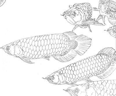 工筆金龍魚底稿，工筆金龍魚底稿是一種傳統的中國畫技法