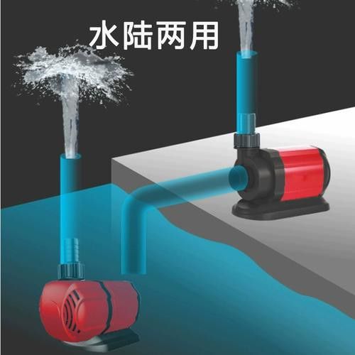 金龍魚一般多大的缸：金龍魚的魚缸尺寸