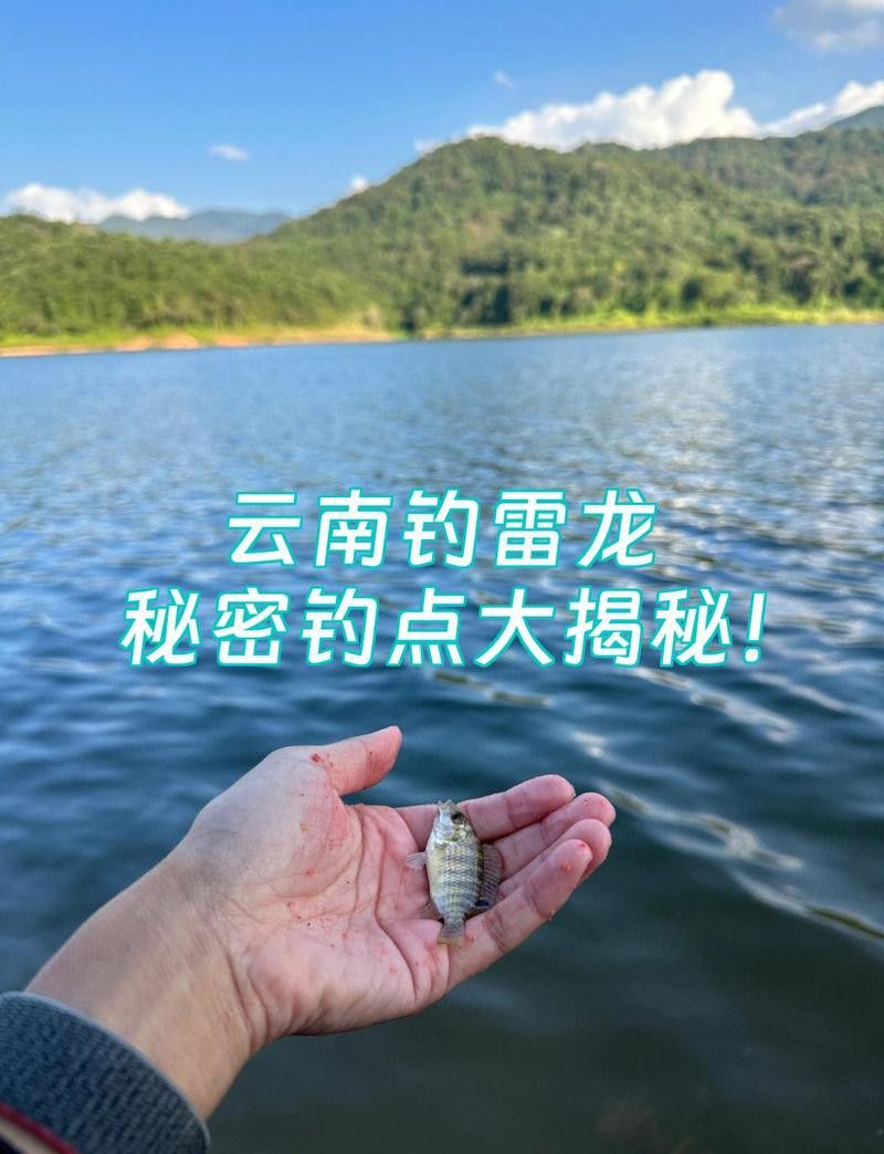 云南雷龍魚(yú)哪里抓的多