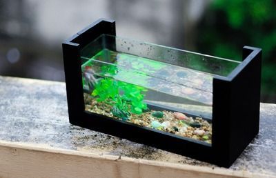 祥龍魚場飼料購買渠道：祥龍魚場合作伙伴店鋪列表祥龍魚場線下實體店地址查詢