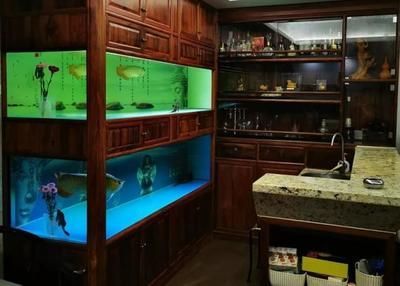 最大的龍魚缸：最大的龍魚缸尺寸標準：魚缸至少長1.5米，寬0.7米