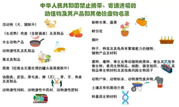 非法進口紅龍魚是否會追究刑事責任？