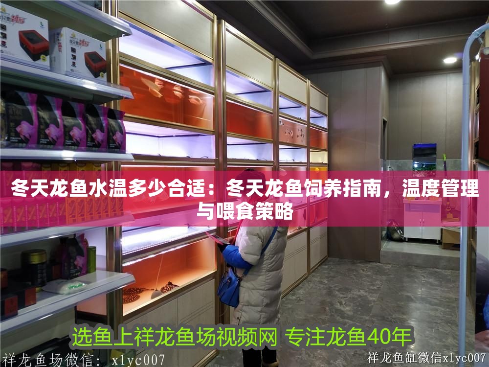 冬天龍魚水溫多少合適：冬天龍魚飼養(yǎng)指南，溫度管理與喂食策略