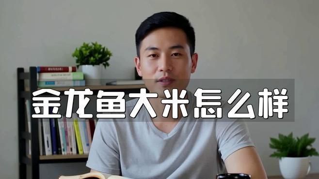 金禾金龍魚是什么檔次