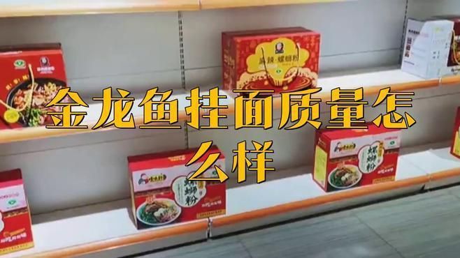 金禾金龍魚是什么檔次