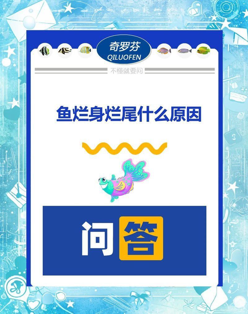 魚身上潰爛是什么原因