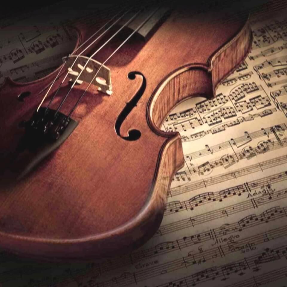 魚身上潰爛是什么原因