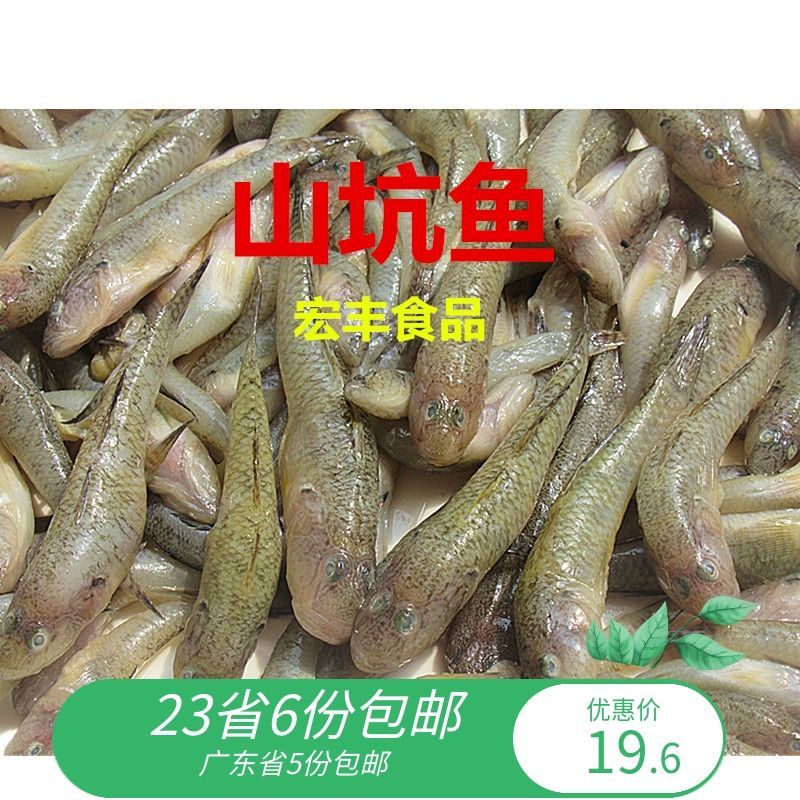 小龍魚吃什么食物為主：小龍魚吃什么食物