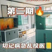 龍魚交叉感染最簡單三個步驟