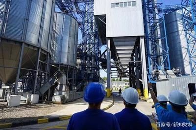 金龍魚加工廠在什么地方(金龍魚加工廠) 龍魚百科 第1張 金龍魚加工廠在什么地方(金龍魚加工廠) 金龍魚加工廠在什么地方(金龍魚加工廠) 龍魚百科 第1張