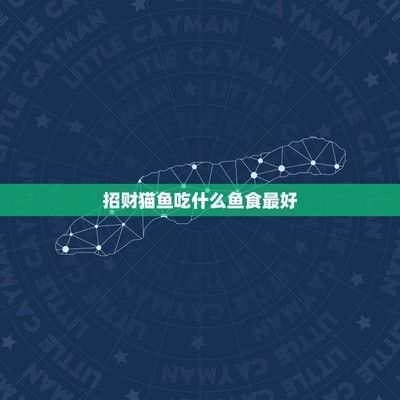 如何自制招財貓魚飼料：制作招財貓魚飼料的方法