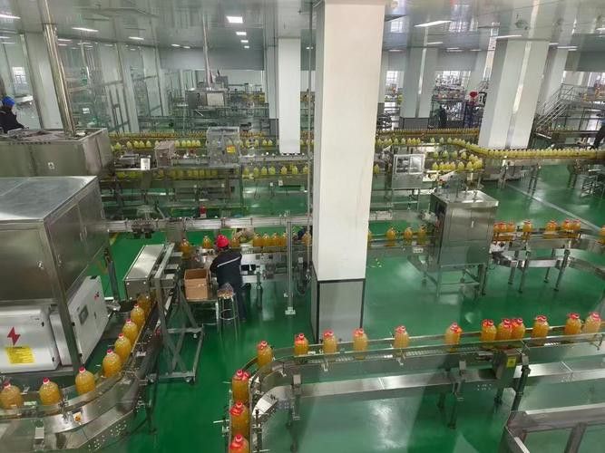 金龍魚周口項目