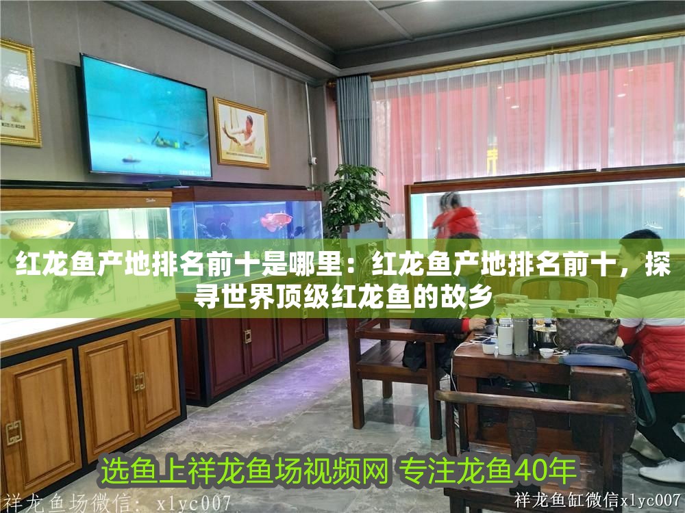 紅龍魚產地排名前十是哪里：紅龍魚產地排名前十，探尋世界頂級紅龍魚的故鄉