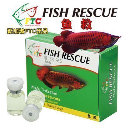 紅龍魚苗發色影響因素：紅龍魚的發色效果受到多個因素影響