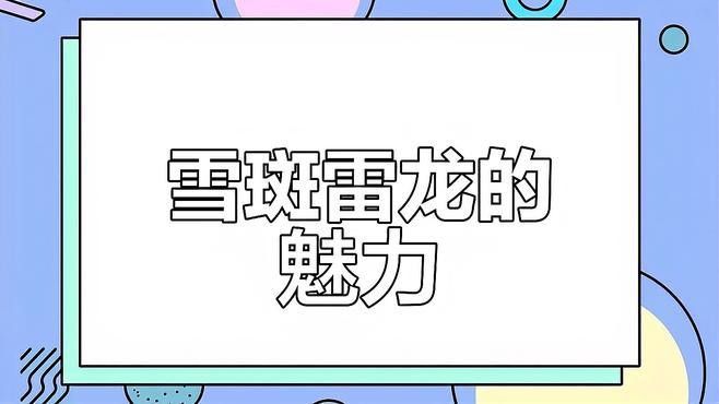 夢幻血斑雷龍魚互動怎么樣