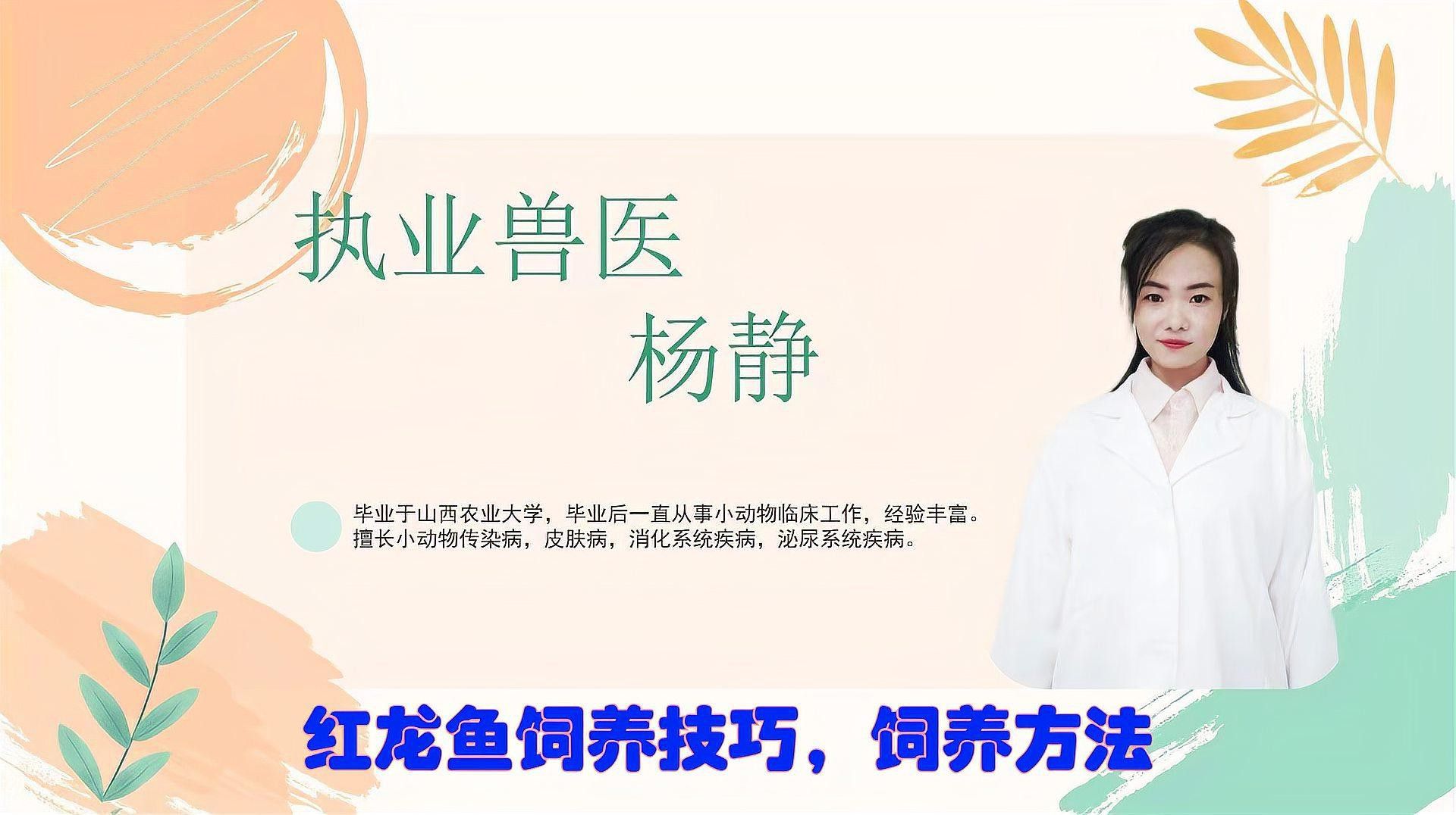 目前什么品牌的紅龍魚最好養的魚