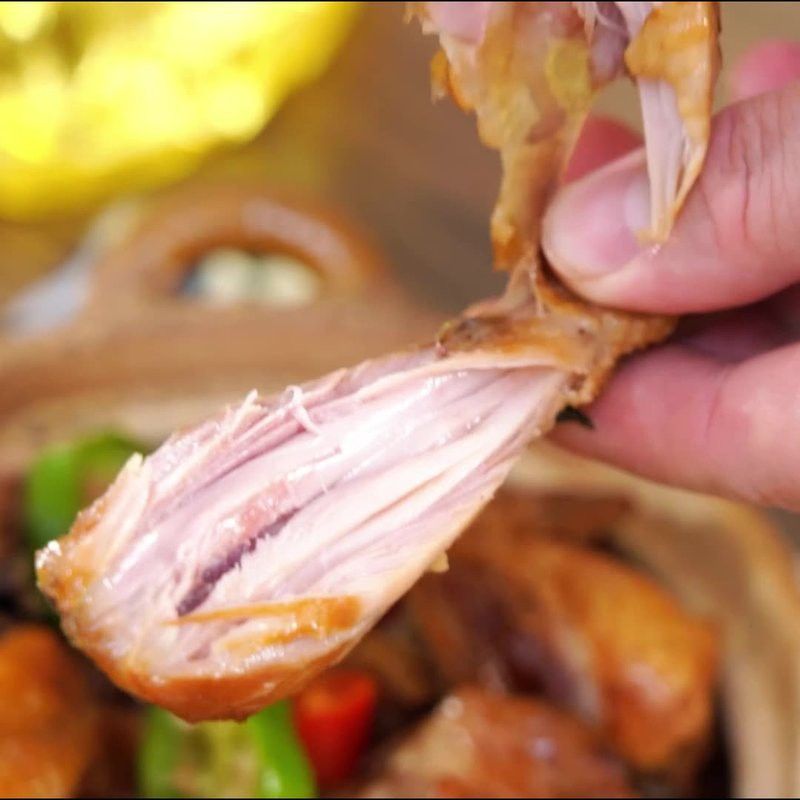 金龍魚1.8升