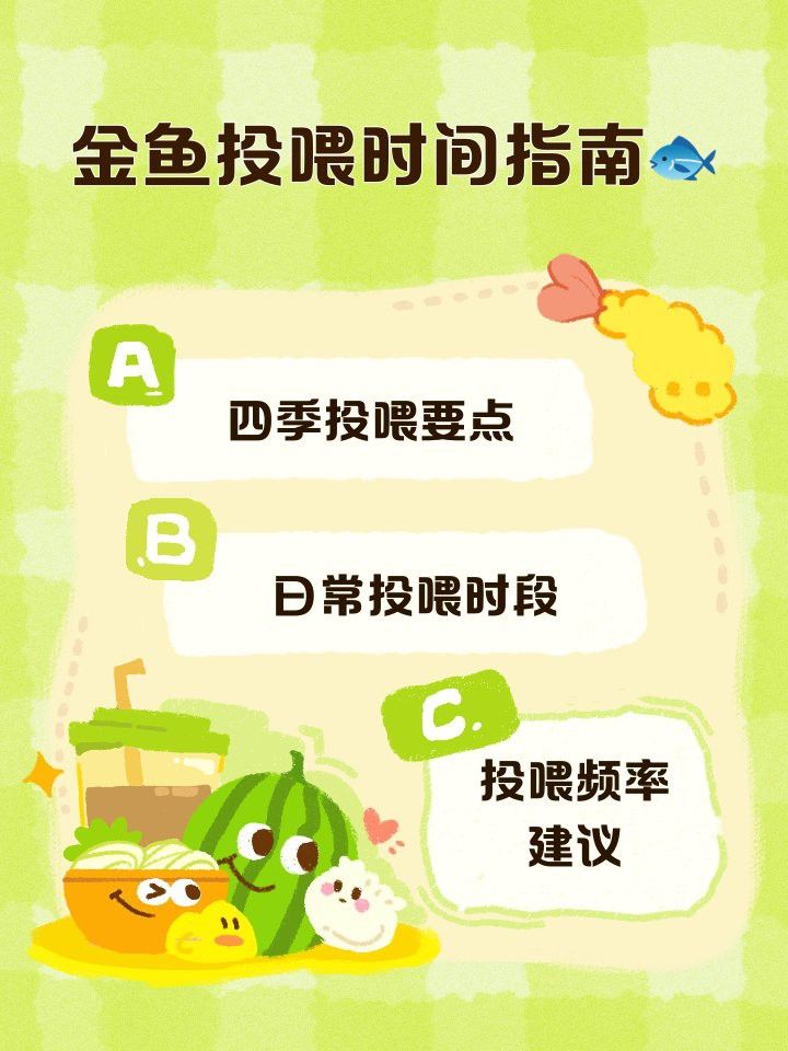 40cm金龍魚多久喂一次