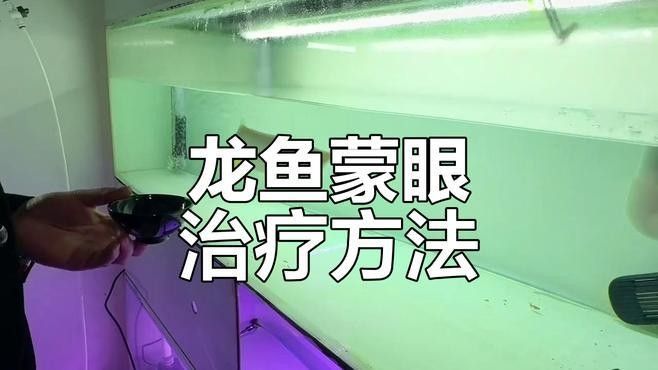 龍魚蒙眼病需要停藥觀察多久
