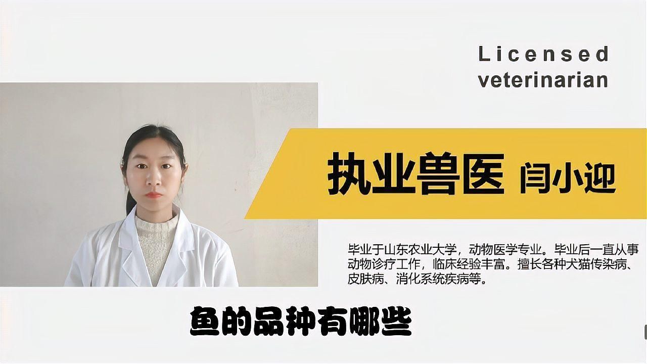 能詳細介紹一下這些魚的特點嗎？