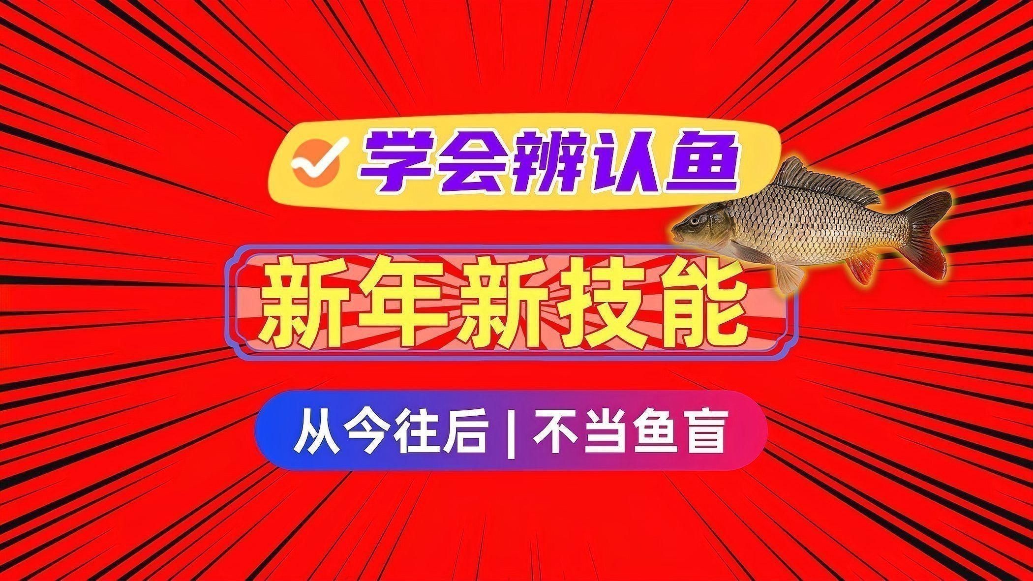 能詳細介紹一下這些魚的特點嗎？