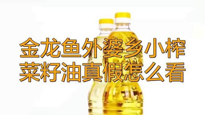 如何通過金龍魚官方APP驗證真偽？