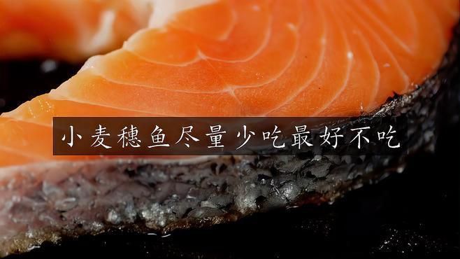 麥穗魚為何要盡量少吃