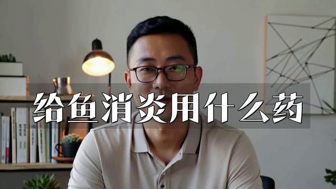紅龍魚爛鰭怎么治療好