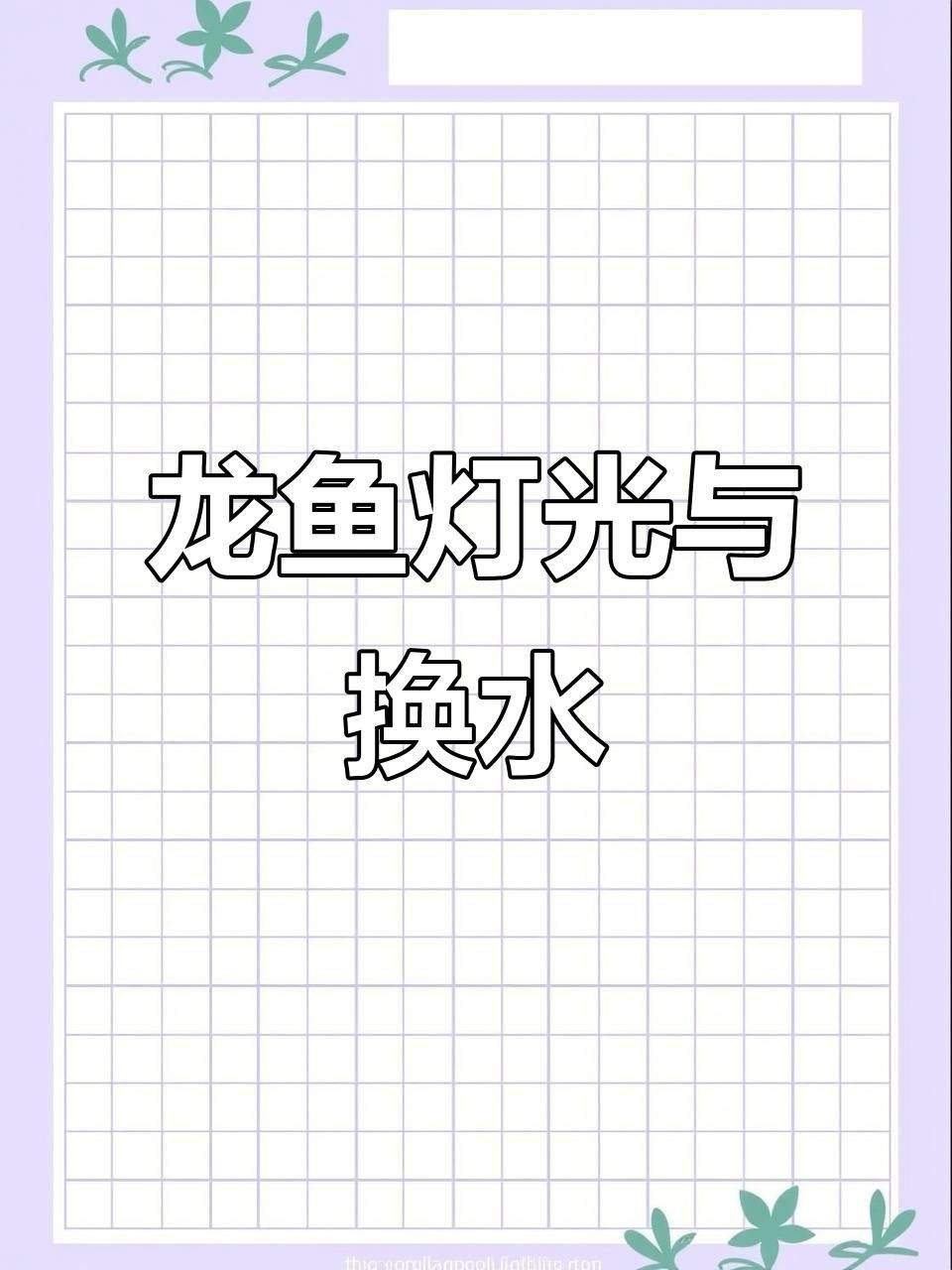 龍魚的最佳飼養環境是怎樣的？