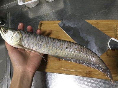 捆龍魚線質量怎么樣：捆龍魚線與競品對比評測,
