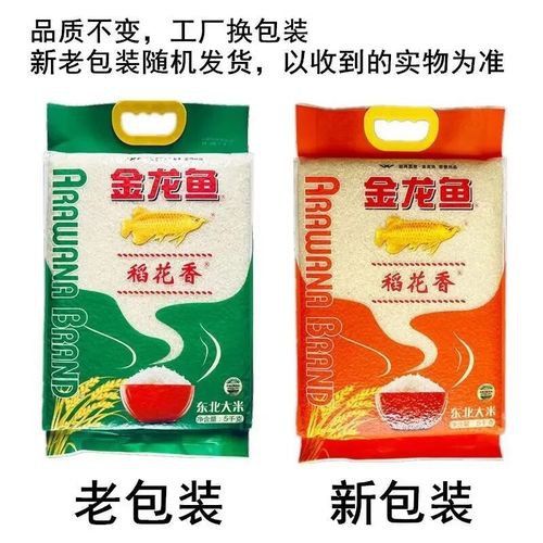 金龍魚稻花香10kg圖片 金龍魚稻花香10kg圖片 龍魚百科 第4張