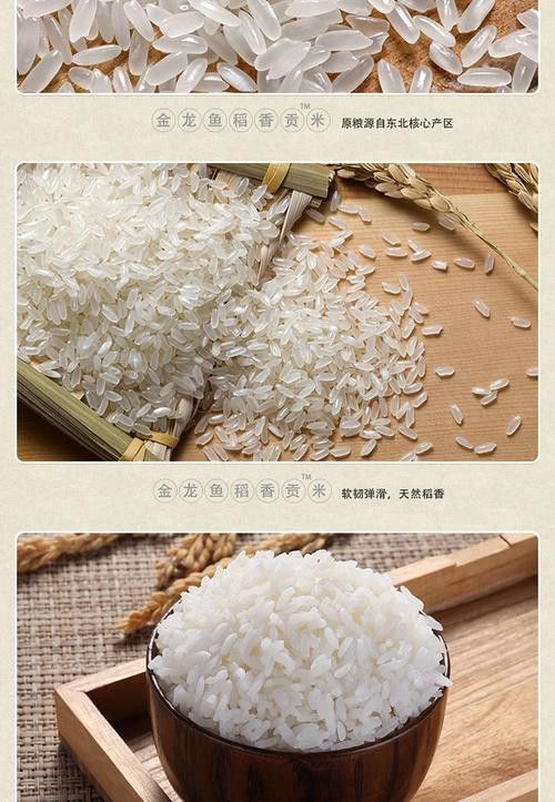 金龍魚稻花香10kg圖片 金龍魚稻花香10kg圖片 龍魚百科 第8張