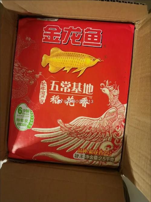 金龍魚稻花香10kg圖片 金龍魚稻花香10kg圖片 龍魚百科 第16張