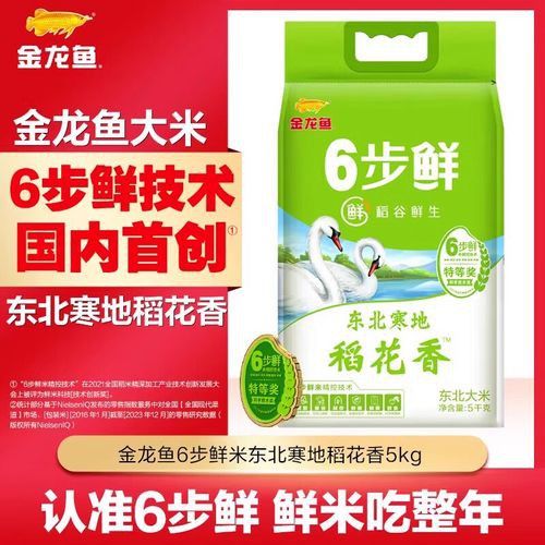 金龍魚稻花香10kg圖片 金龍魚稻花香10kg圖片 龍魚百科 第14張