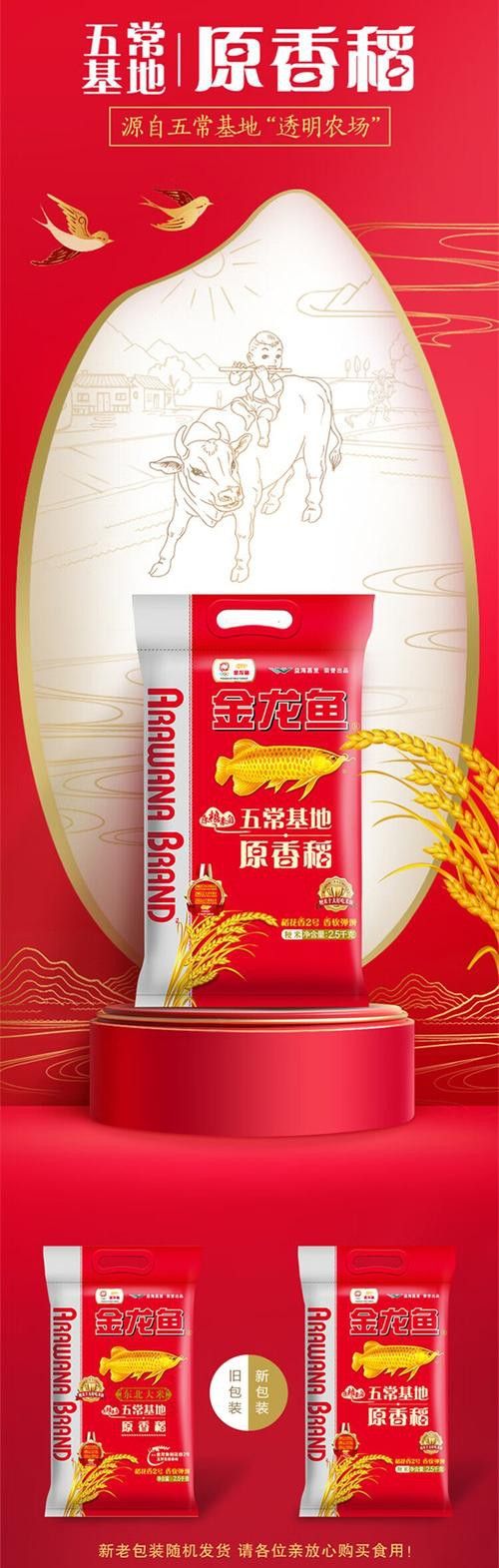 金龍魚稻花香10kg圖片 金龍魚稻花香10kg圖片 龍魚百科 第22張